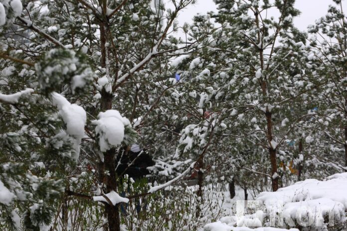 7qiumu_MPA-PHOTO-2021-4-8143_x974