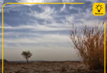 КОП17: Амьд хаалт…