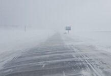 ОБЕГ: Өнгөрсөн шөнө төөрсөн, сураггүй болсон 3 удаагийн дуудлага бүртгэгдэж, эрлийн ажиллагаа явагджээ