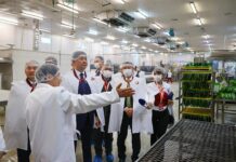 ЕТГ: “Хүнсний хувьсгал”-ын дүнд 53 үйлдвэр ашиглалтад орж, 1,000 гаруй хүнсний бүтээгдэхүүн шинээр үйлдвэрлэж байна