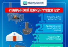 НИЙСЛЭЛ: Угаарын хийн эрсдэлээс сэргийлж, яндан, зуухны аюулгүй байдлыг шалгаарай