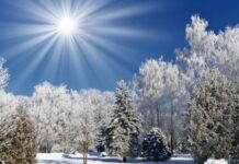 ОБЕГ: Улирлын буюу ирэх саруудын цаг агаарын төлөв