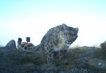 Хамтдаа хамгаалвал илүү үр дүнтэй