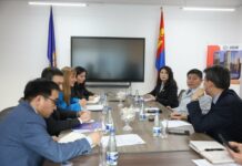 НИЙСЛЭЛ: НҮБ-ын Хөгжлийн хөтөлбөрт сэргээгдэх эрчим хүчний чиглэлээр хамтран ажиллах санал солилцлоо