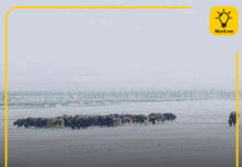 ОБЕГ: Баянхонгор аймгийн Бууцагаан сумын нутагт3.5 магнитудын хүчтэй газар хөдлөлт боллоо