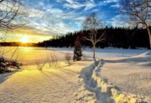 Өнөөдөр нийт нутгаар цас орохгүй, цаг агаар тогтуун байна