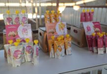 ЗГ: Монголын анхны ингэний ферм инкубатор хэлбэрээр үйл ажиллагаагаа явуулж байна