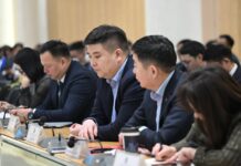 Сар шинийн өдрүүдэд инженер хангамжийн болон нутгийн захиргааны 12 байгууллага бэлэн байдалд ажиллана