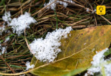 ЦАГ АГААР: Өнөөдөр Улаанбаатар хотод өдөртөө 7 хэмийн дулаан, шөнөдөө -4 хэмийн хүйтэн байна