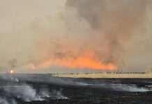 ОБЕГ: Ой, хээрийн 2 гал түймрийг унтраахаар ажиллаж байна