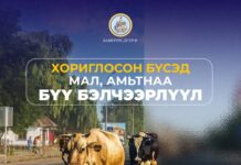 БЗД: Хориглосон бүсэд бэлчээрлэж буй малыг тууж гаргах, зөрчлийг арилгах арга хэмжээ авчээ