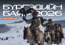 Нийслэл: “Бүргэдийн баяр-2026” болоход 3 хоног үлдлээ