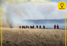 ОБЕГ: Сүхбаатар аймагт бүртгэгдсэн 3 хээрийн түймрийг унтраахаар ажиллаж байна