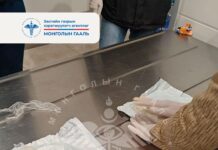 ГЕГ: 417 грамм метамфетаминыг улсын хилээр хууль бусаар нэвтрүүлэхийг завдсан үйлдлийг илрүүлж, таслан зогсоолоо