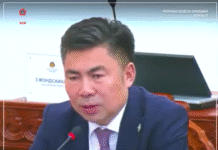 Н.Наранбаатар УИХ-ын гишүүн: Иргэдийн төлөөлөгчдийн 30 хувь нь төрийн албан хаагч байснаар Иргэдийн хурлын чадавх сайжирна