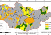 Нутгийн 60 гаруй хувьд бэлчээрийн ургамал цухуйгаагүй байна