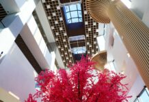 НХОГ: Гурван давхар үйлчилгээний төв, далд зогсоол бүхий Урт цагааны цэцэрлэгт хүрээлэнгийн нийт төсөв 39 тэрбум төгрөг