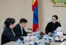 НИТХ: Цэргийн дүйцүүлэх албанд энэ онд 78 иргэн хамруулна