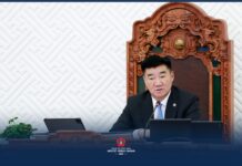 МАН-ын бүлэг: Мэргэшсэн байнгын хороодод түшиглэсэн парламентыг бэхжүүлнэ