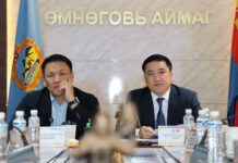 Н.Номтойбаяр: Аймгуудад тулгамдаж буй асуудлуудыг долоо хоног бүр Засгийн газрын хуралдаанд танилцуулж, шийдвэрлүүлнэ