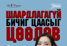 УИХ-ын гишүүн Б.Уянга: Төрийн байгууллага илүү хариуцлагатай ажиллах нөхцөл бүрдсэн