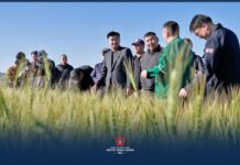 МАН-ЫН БҮЛЭГ: Төв аймаг 140 мянга га талбайгаас 390 мянган тонн ургац хураахаар урьдчилан тооцоолжээ