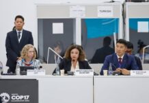 ЕТГ: Монгол Улсын Ерөнхийлөгчийн Гадаад бодлогын зөвлөх Др. Э.Одбаяр Цөлжилттэй тэмцэх тухай НҮБ-ын конвенцын Талуудын 17 дугаар бага хурлын хүрээнд “Энх тайвны ой санаачилга”-ын өндөр түвшний түншүүдийн дугуй ширээний уулзалтын нээлтэд оролцлоо