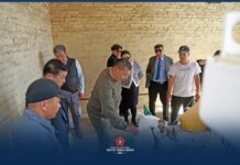 МАН-ЫН БҮЛЭГ: Бор нуур сум 2700 га талбайд үр тариа, хүнсний ногоо тариалжээ