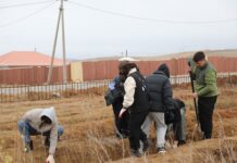 НИЙСЛЭЛ: “Шинэ Налайх” хорооллын авто зам дагуу нийтийн эзэмшлийн талбайд 22,384 мод тарилаа